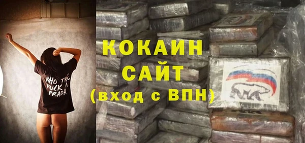 прущие грибы Алексин