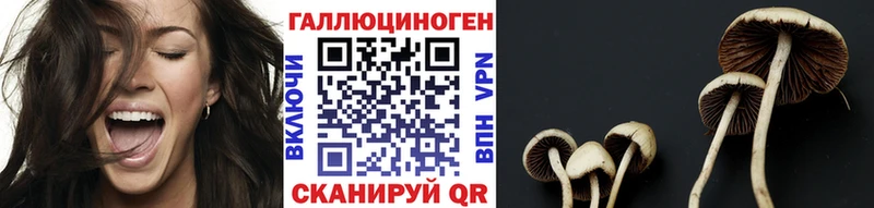Псилоцибиновые грибы мицелий  Североуральск 